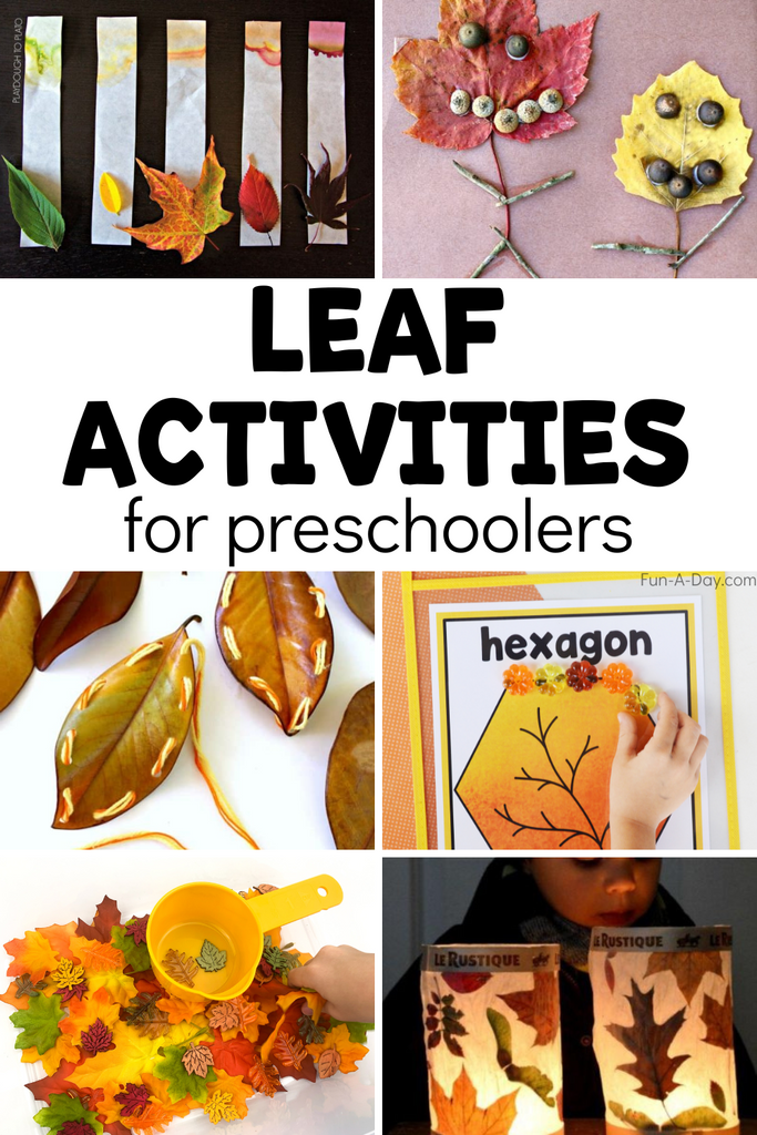 20+ Leaf Activities for Preschoolers