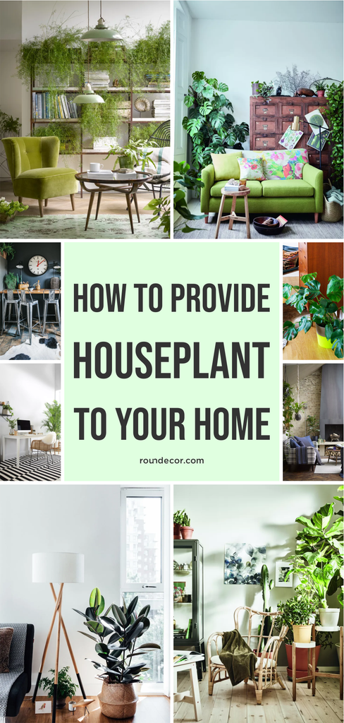 How to Provide Houseplant to Your Home