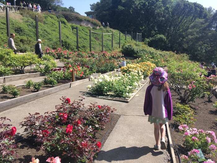 Parents’ Guide to East Bay Gardens