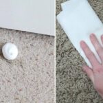 10 Carpet Cleaning Hacks