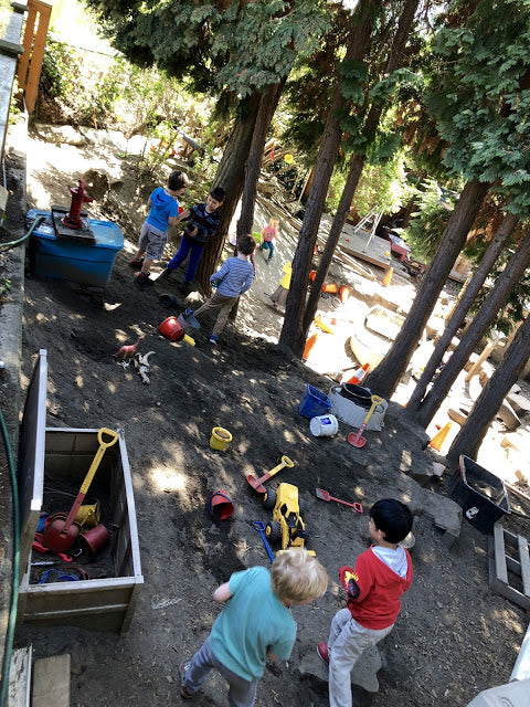 "We’re Using This Treasure!"