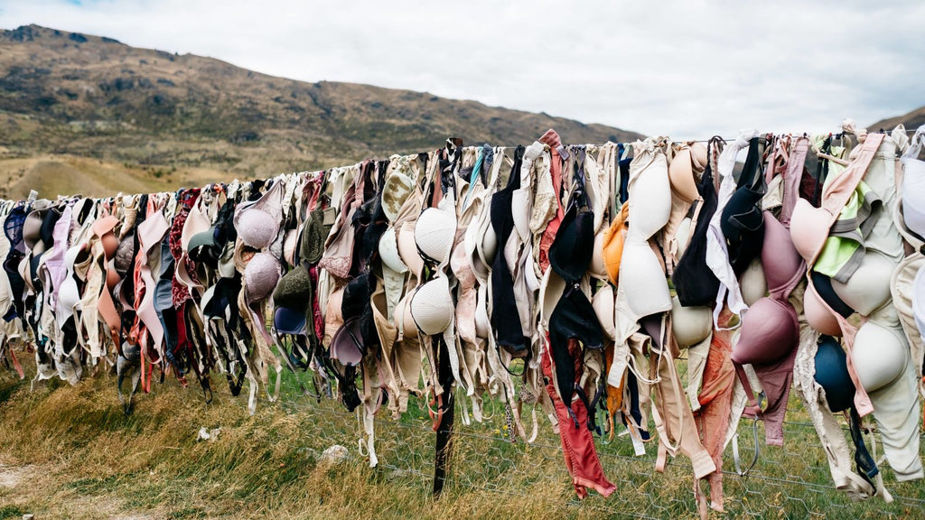 Hey, Maybe Wash Your Bra Every Once in a While?