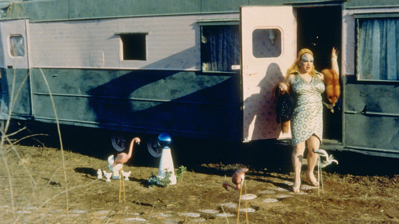 Pink Flamingos Ending Explained: The Tyranny Of Normalcy