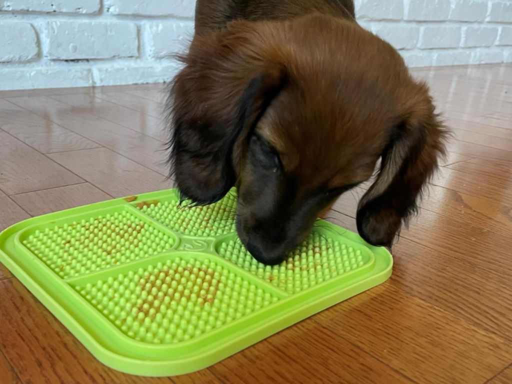 Hyper Pet Treat Lick Mats 2-Pack Only $8 on Amazon or Chewy.com (Regularly $28)