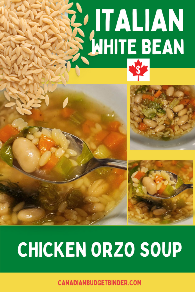 Chicken Orzo Soup With White Beans