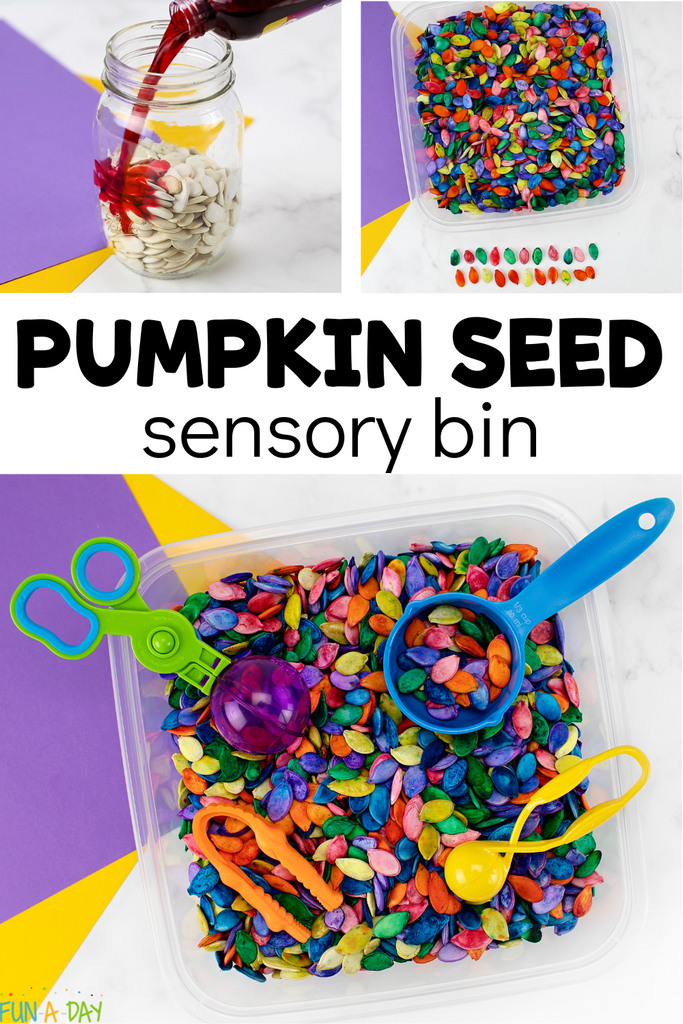 Colorful Pumpkin Seed Sensory Bin