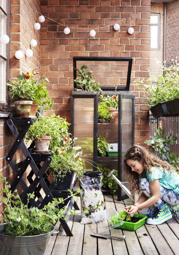 10 Easy Ways To Make Balcony Gardening Ideas