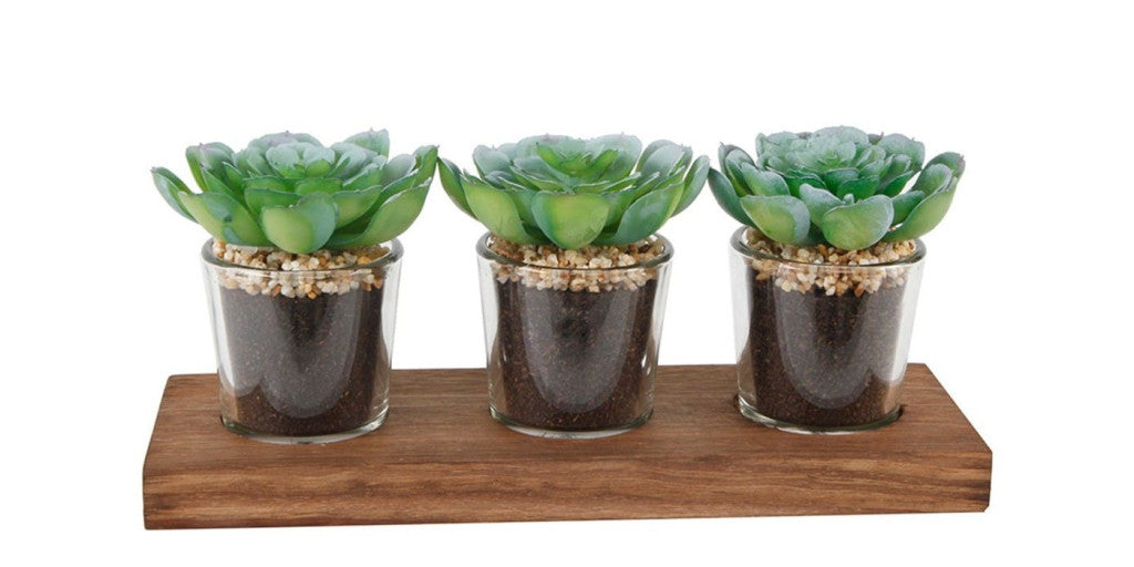Let life flourish with Nordstrom Rack’s summer planter sale starting at $20 (Save 50%)
