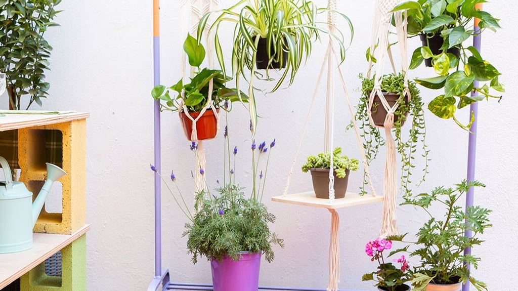 19 Modern DIY Plant Stands To Transform Your Space For Spring