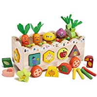 Freebear Montessori Wood Preschool Learning Educational Toys only $10.49