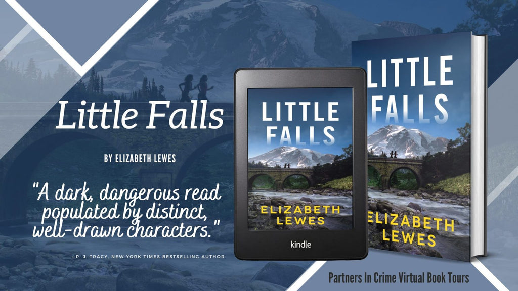 Little Falls by Elizabeth Lewes Tour * #Giveaway