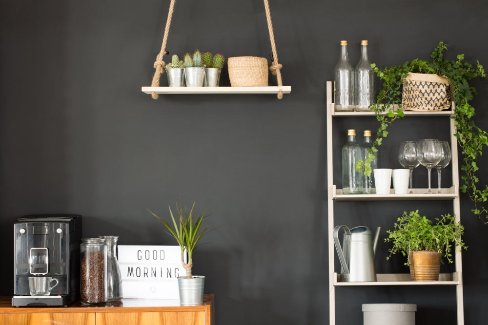 Gorgeous Plant Shelf Ideas You Can Take Inspiration From