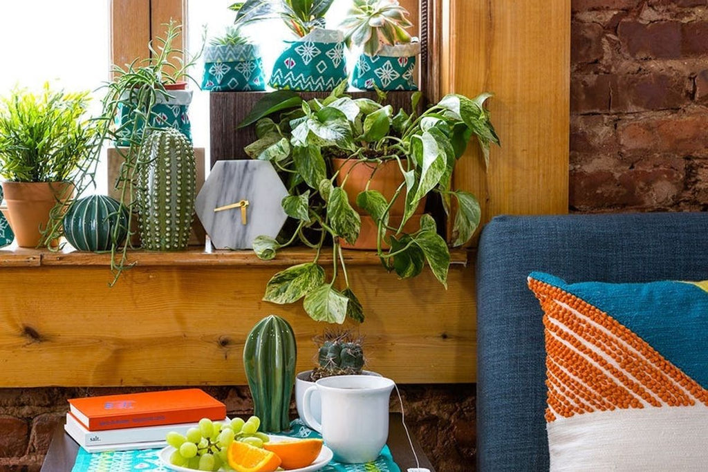 13 Unexpected Ways to Decorate With Plants