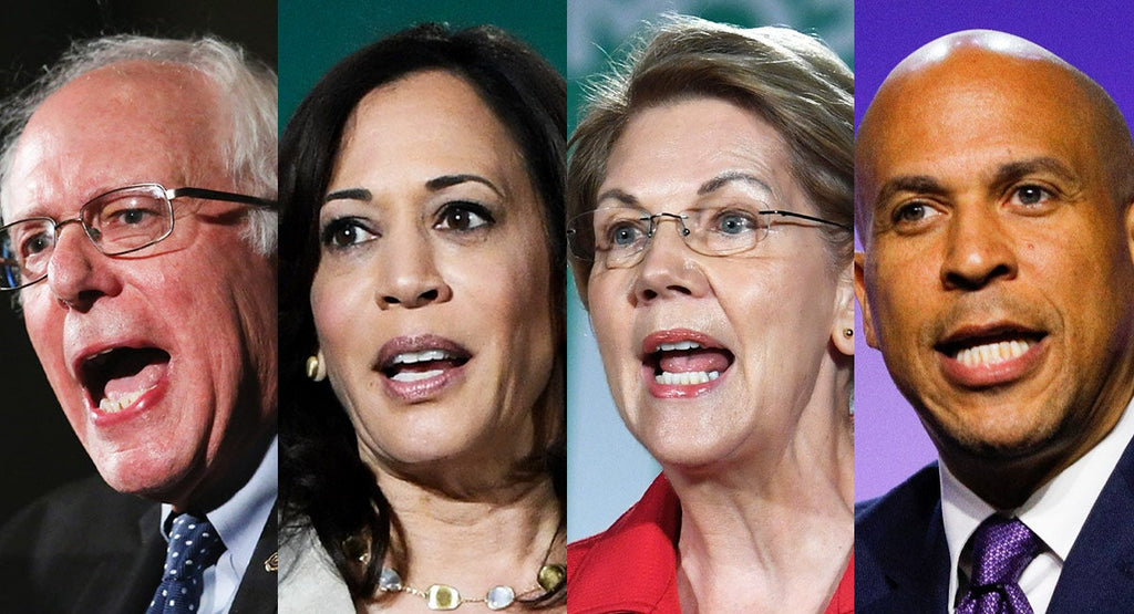 Where Elizabeth Warren, Joe Biden, And Other 2020 Democratic Candidates Stand on Education