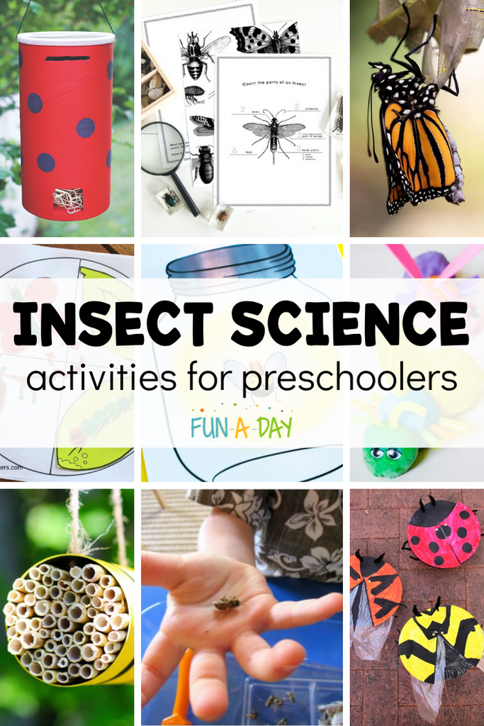 30+ Insect Science Activities for Preschoolers