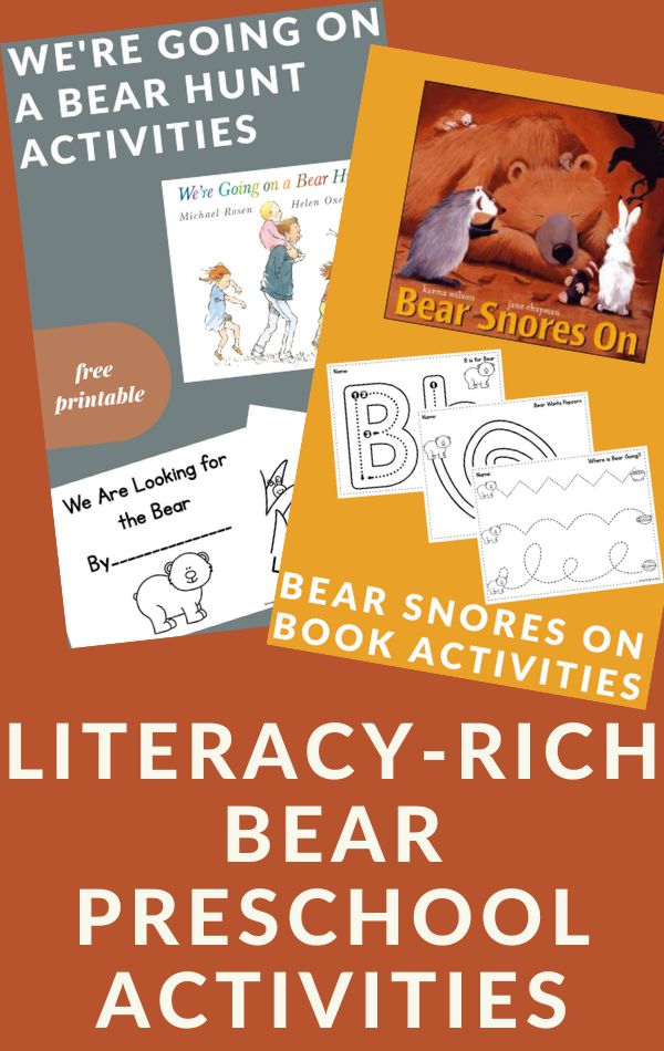 Literacy Rich Preschool Bear Activities