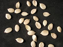 Melon seeds